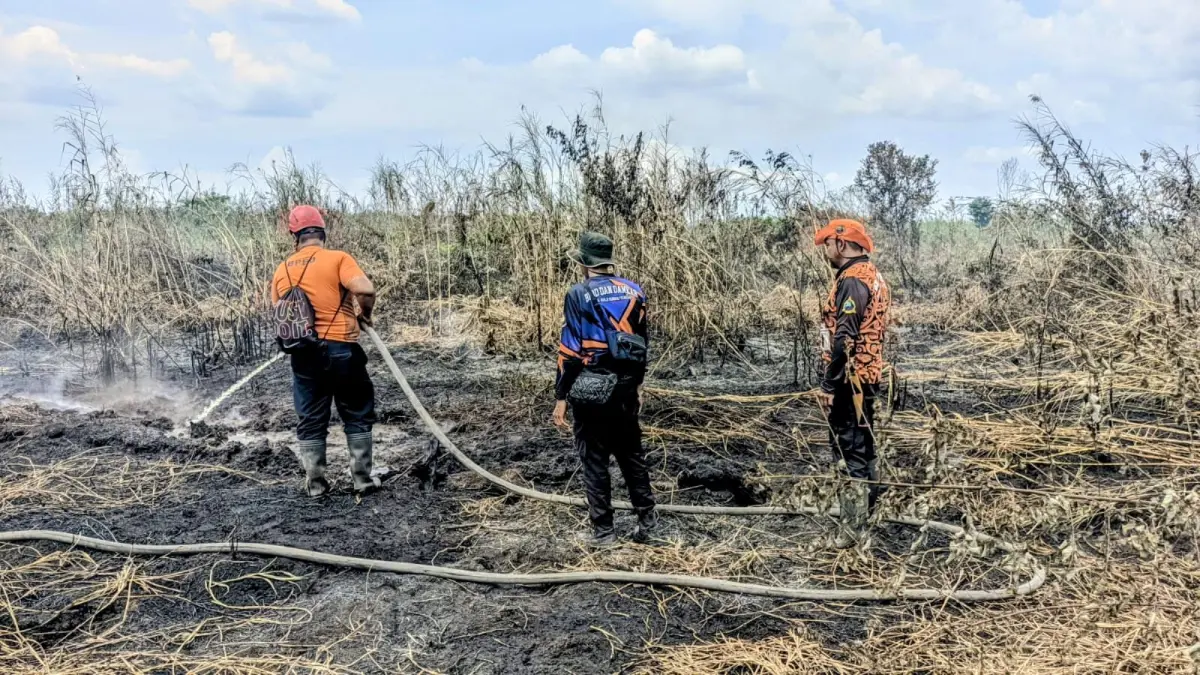 BERJIBAKU: Anggota TRC BPBD HSU memadamkan kebakaran lahan gambut di Desa Pawalutan, Kecamatan Banjang. (Foto: BPBD HSU)&nbsp;