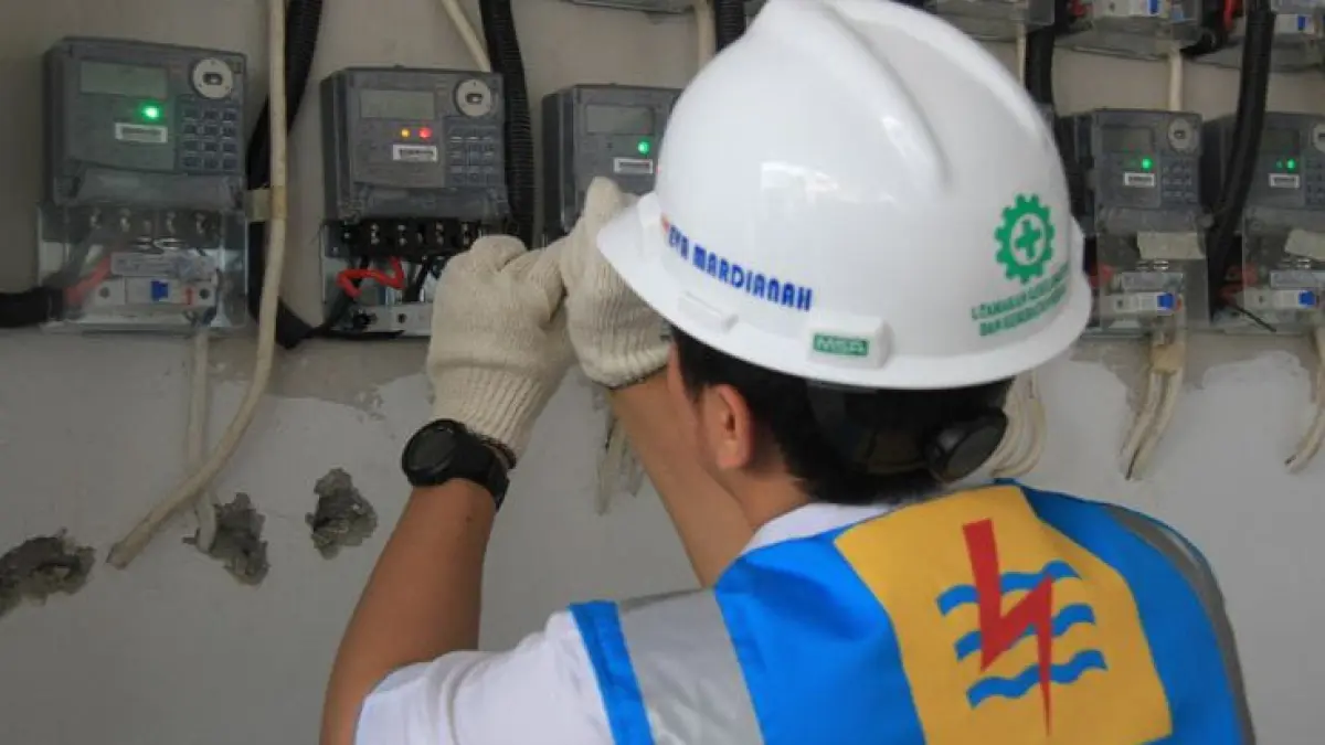 ILUSTRASI: Petugas PLN lakukan perbaikan jaringan listrik. (Foto: Pinterest)
