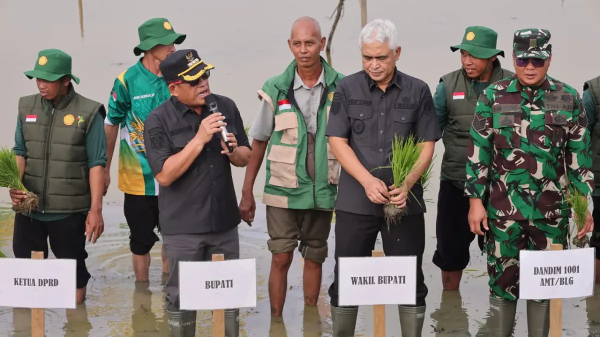 KE SAWAH: Bupati dan Wakil Bupati HSU, H Sahrujani dan Hero Setiawan saat melakukan tanam perdana di Desa Manarap Kecamatan Danau Panggang, Kamis (23/7/2026).(Foto: Pemkab HSU)&nbsp;