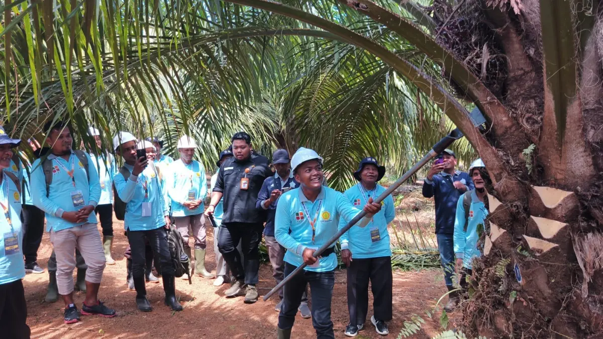 LANGSUNG PRAKTEK: Usai mendapatkan materi, para peserta yang ikut pelatihan budidaya kelapa sawit langsung turun ke lapangan.