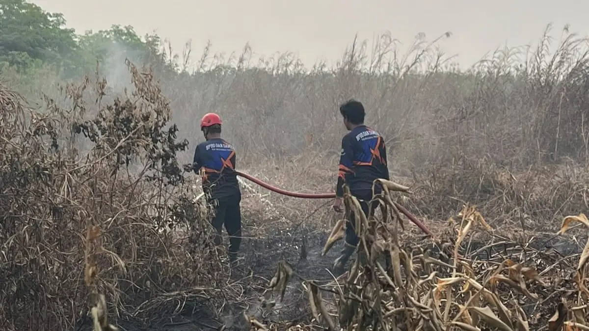 SEMPROT: Tim BPBD HST saat memadamkan api di lokasi Karhutla.
