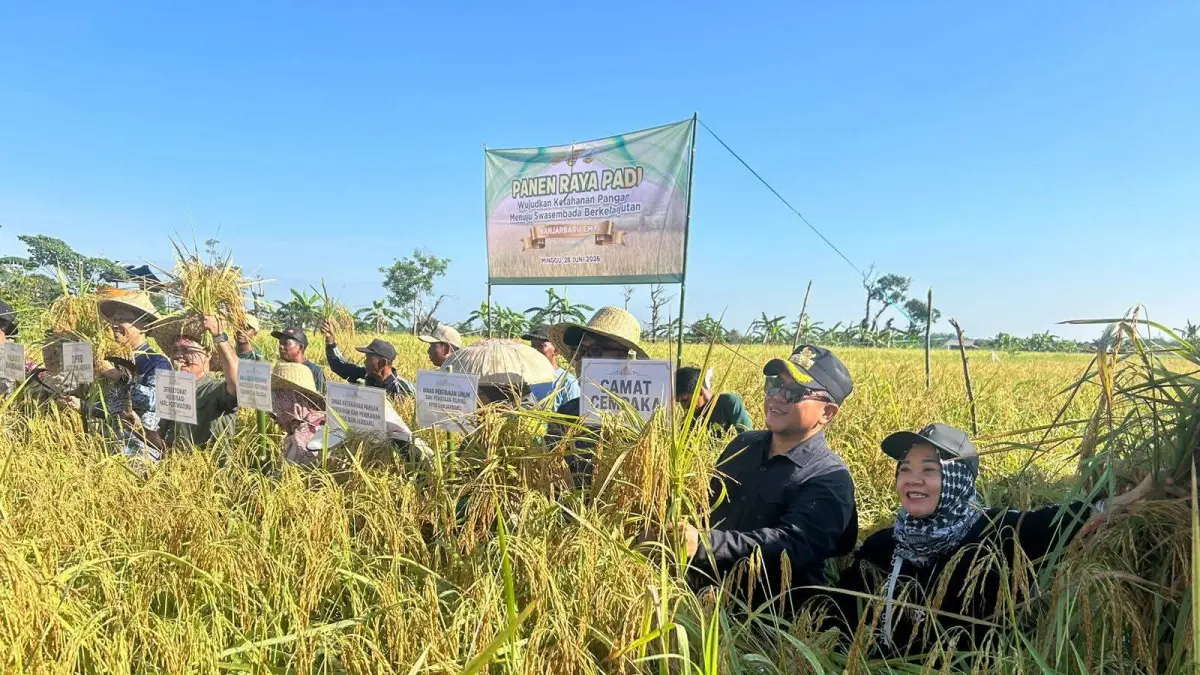 Para petani saat panen padi di salah satu poktan di Banjarbaru (DKP3 Banjarbaru untuk Radar Banjarmasin)