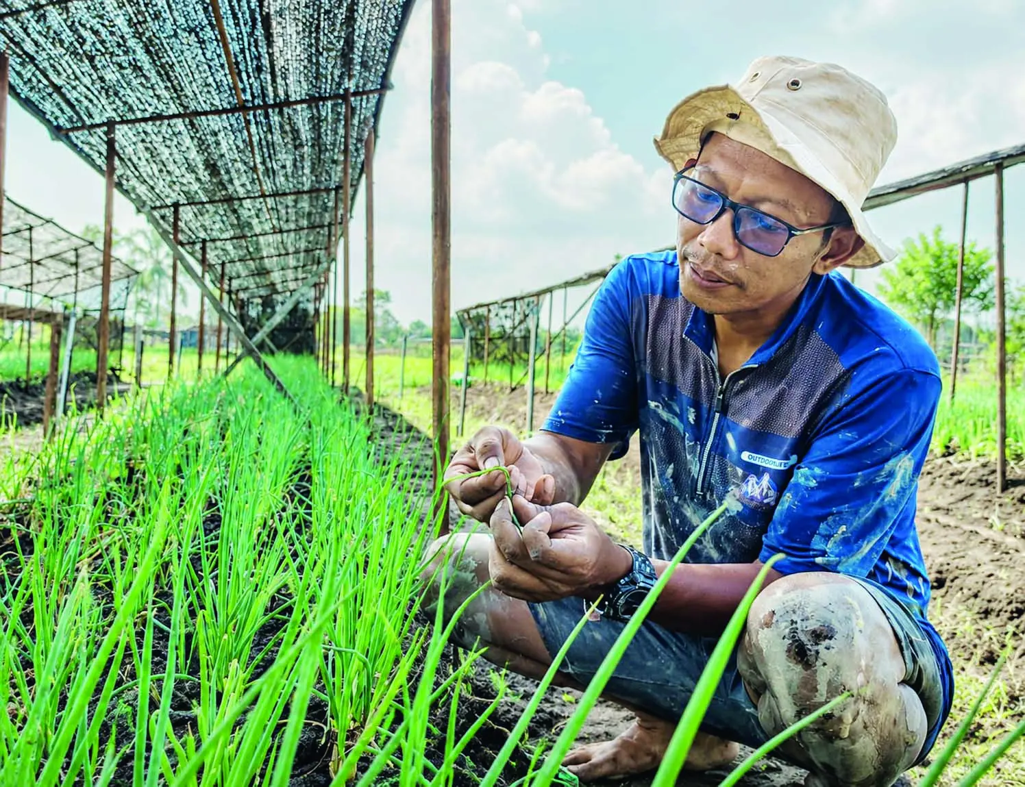 MEMPERLIHATKAN: Suhardadi saat memperlihatkan tanaman daun bawangnya, Kamis (30/7).
(Foto: M FADLAN ZAKIRI/RADAR BANJARMASIN)&nbsp;
