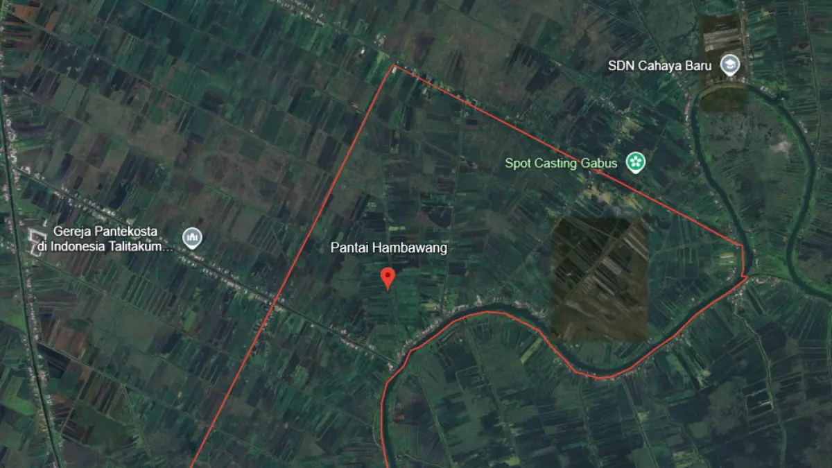 Desa Pantai Hambawang Kecamatan Mandastana Kabupaten Barito Kuala