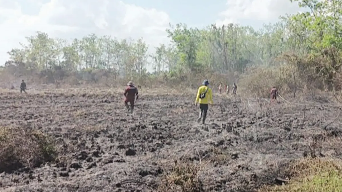 MEMADAMKAN: Personel Brigade Pengendalian Kebakaran Hutan dan Lahan (Dalkarhutla) Dinas Kehutanan Kalsel saat memadamkan api di Hutan Lindung Liang Anggang.&nbsp;
(BRIGADE DARKAHUTLA DISHUT KALSEL)&nbsp;