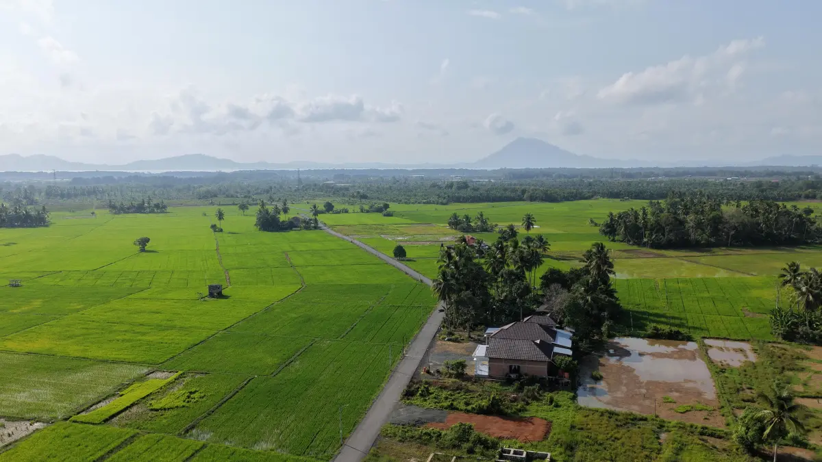 INFRASTRUKTUR: Hamparan sawah dan akses jalan yang telah diaspal di Desa Sepunggur, Kecamatan Kusan Tengah, Tanah Bumbu. (Foto: DKPP Tanah Bumbu)