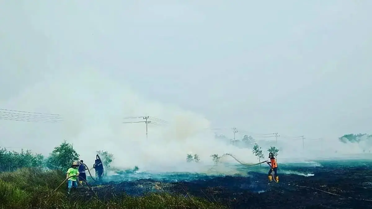 Petugas BPBD Kota Banjarmasin memadamkan kebakaran lahan semak belukar. Hingga awal Agustus 2026, BPBD memastikan Banjarmasin masih nihil hotspot meski terjadi sekitar 15–16 kebakaran lahan. (Hanafi untuk Radar Banjarmasin)