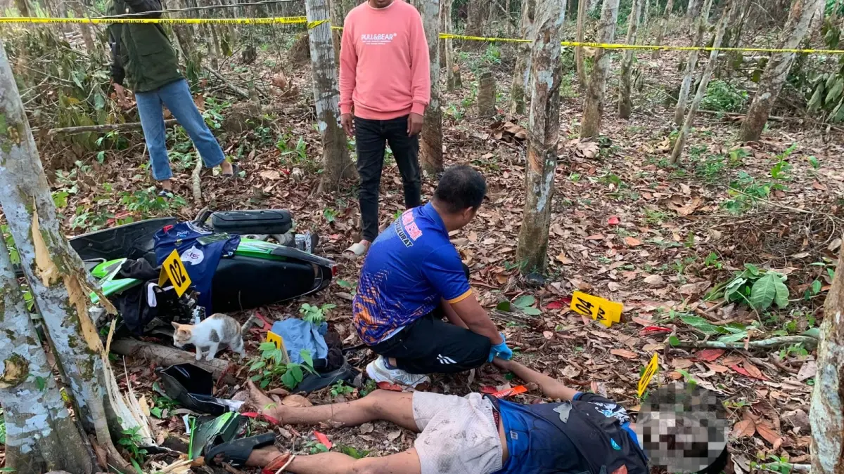 LAKA TUNGGAL: Titik lokasi kecelakaan tunggal yang merenggut nyawa seorang pelajar usai sepeda motornya menabrak pohon di tepi jalan Desa Banua Hanyar, Kecamatan Batumandi pada Jumat pagi. (Wahyudi untuk Radar Banjarmasin)