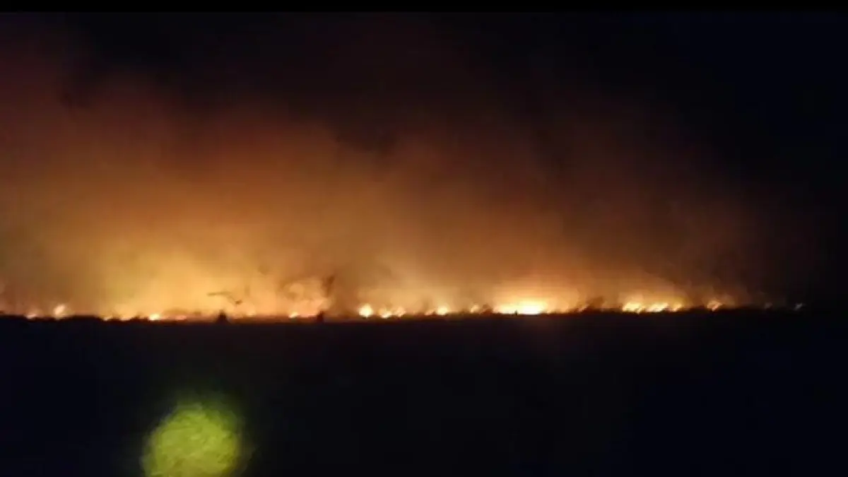 PEMADAMAN: Tim gabungan memadamkan kebakaran lahan gambut di Desa Samuda, Kecamatan Daha Selatan, Sabtu malam (8/8/2026). (Foto: BPBD HSS)