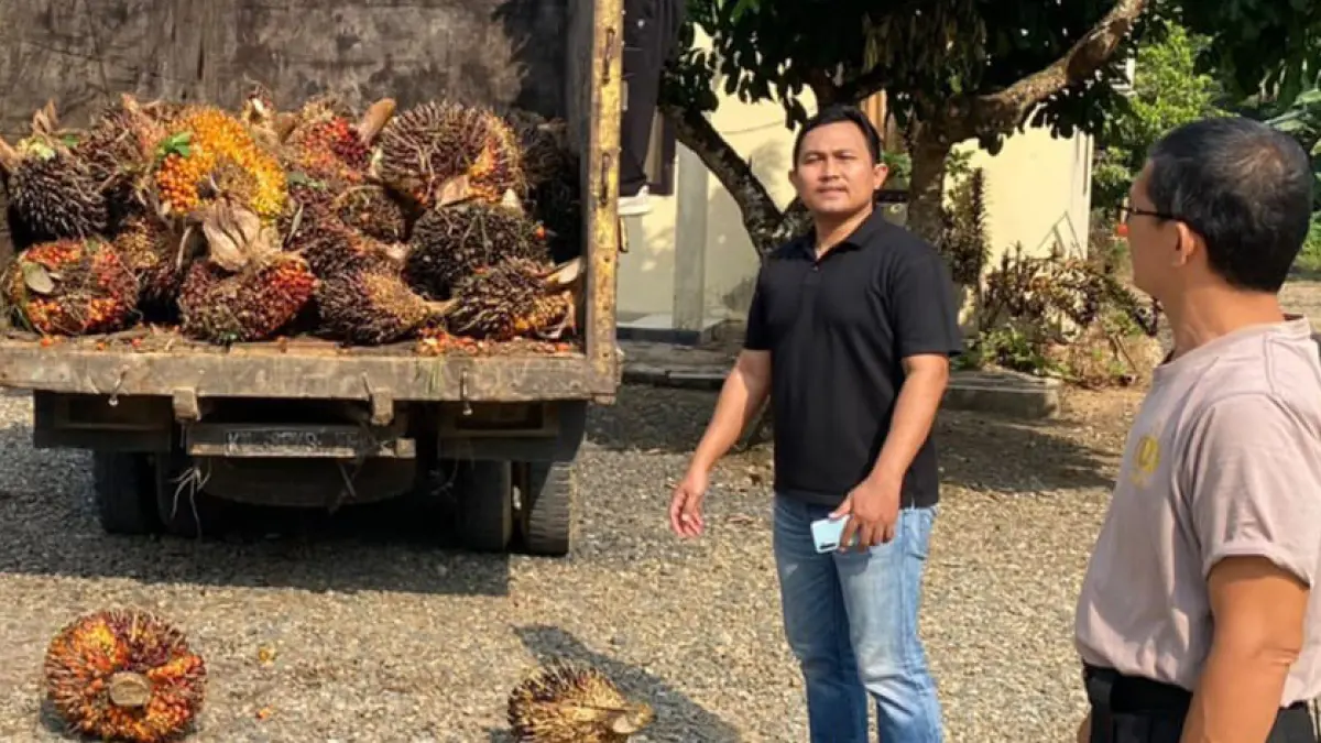 BARANG BUKTI : Sejumlah sawit dan truk sarana angkutan pencurian yang diamankan Polsek Tanjung.