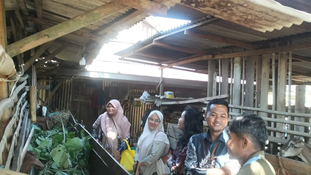 PROGRAM PKM: Tim PKM Prodi Teknologi Pakan Ternak Politala berkunjung ke peternakan kambing di Desa Telaga, Kecamatan Pelaihari, Kamis (6/8/2026).(Foto: Prodi TPT Politala untuk Radar Banjarmasin)
