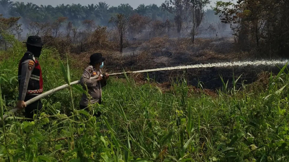 BLOKIR TITIK API: Tim gabungan lintas sektor bahu-membahu melakukan pemadaman dan pendinginan pada lahan gambut yang terbakar di kawasan perbatasan Desa Pulau Damar pada Minggu (9/8/2026). 