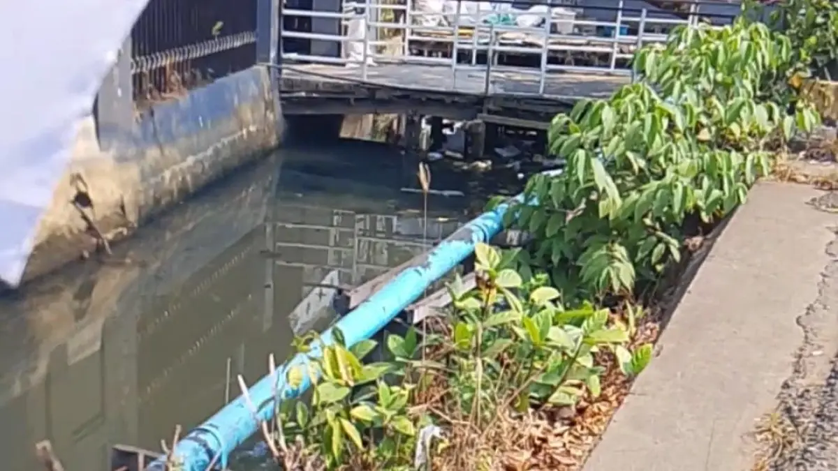 PENDANGKALAN: Kondisi Sungai Pasar Rambai di Jalan H Djok Mentaya yang mengalami pendangkalan dan penyempitan.(Foto: Endang Syarifuddin/Radar Banjarmasin)