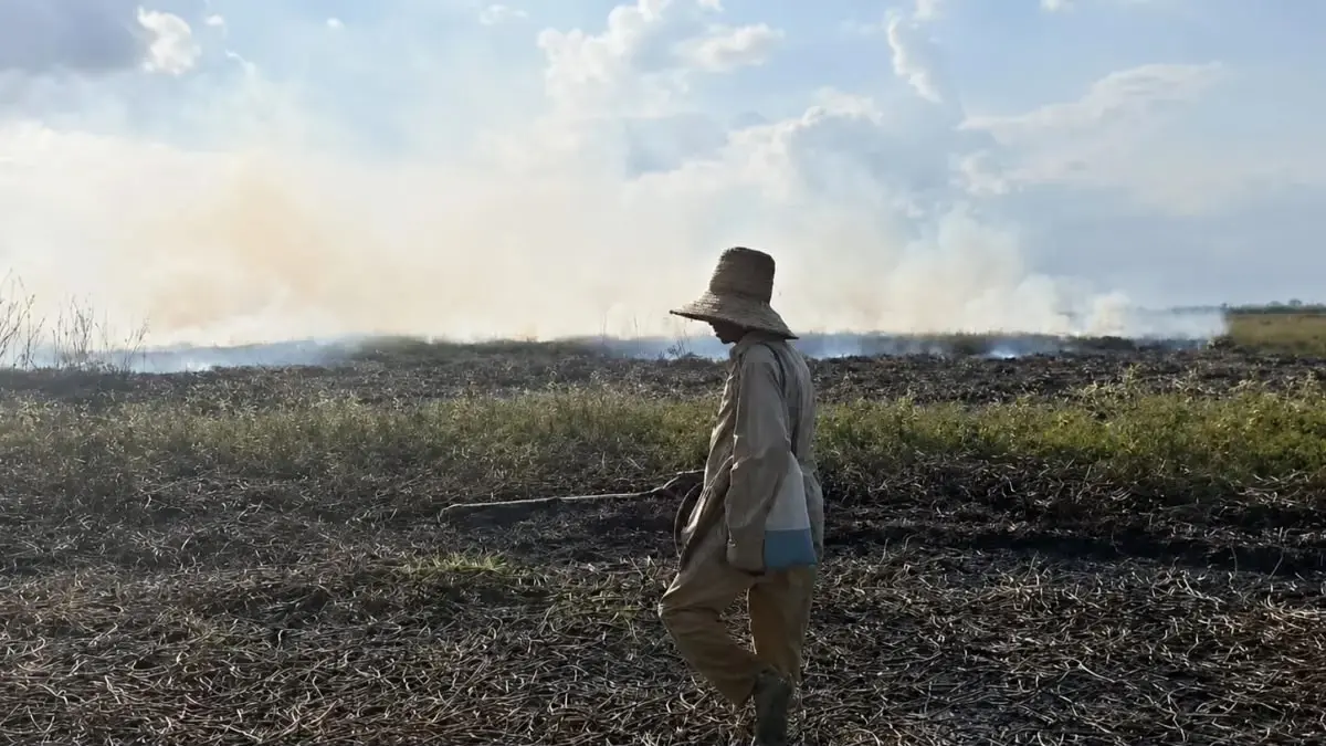 ANTISIPASI: Seorang petani membasahi lahan sawahnya di Kecamatan Martapura, Kabupaten Banjar, untuk mencegah api merambat saat musim kemarau yang mulai memicu kekeringan di sejumlah wilayah. (Foto: Fadlan Zakiri/Radar Banjarmasin)