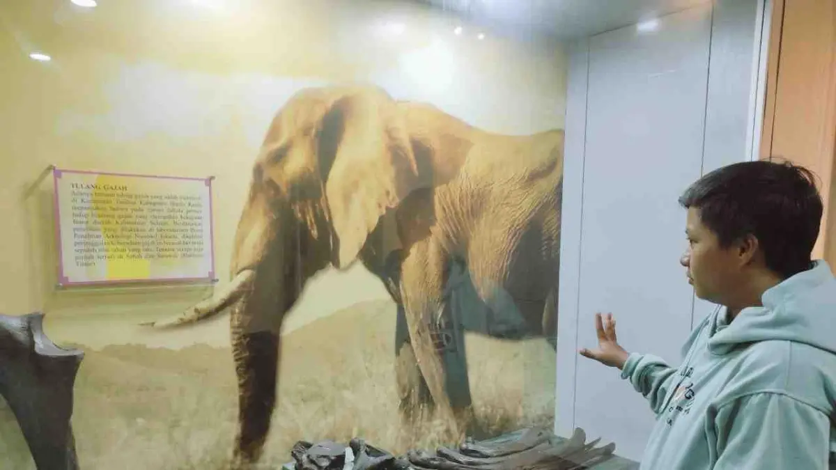 BUKTI SEJARAH: Pengunjung museum Lambung Mangkurat di Banjarbaru melihat fosil tulang gajah purba. (Foto: MC KALSEL)
