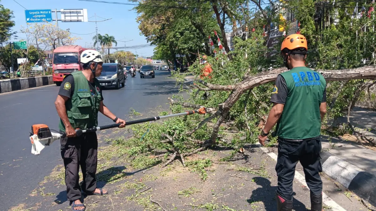 DIBERSIHKAN: Petugas BPBD Banjarmasin memotong pohon lapuk yang tumbang di Jalan Ahmad Yani Km 3,5, Banjarmasin Timur, Senin (17/8). (Foto: BPBD Banjarmasin untuk Radar Banjarmasin)