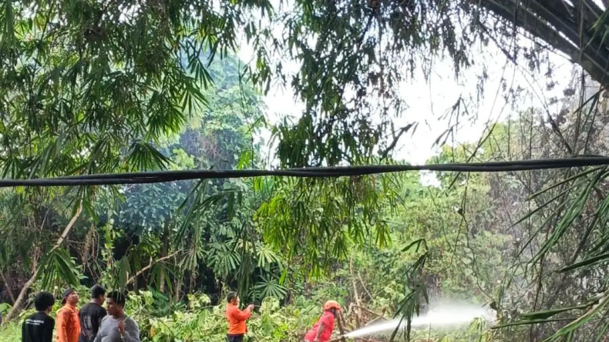 ANTISIPASI ISPA: Karhutla di Kabupaten Balangan yang mulai diwaspadai karena mempengaruhi tingkat kualitas udara. (TRC BPBD untuk Radar Banjarmasin)