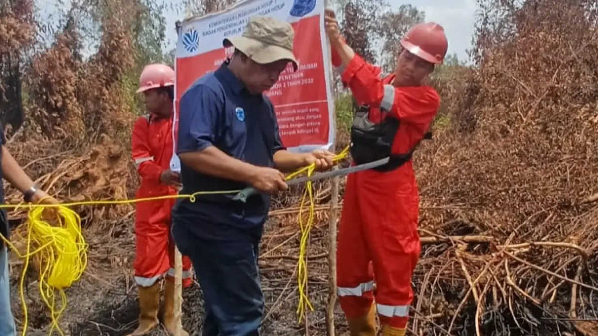 PENGECEKAN: Petugas KLH/BPLH melakukan pengecekan di lahan yang terdampak kebakaran hutan dan lahan (karhutla) sebagai respon menghadapi musim kemarau 2026. (HUMAS KLH/BPLH)