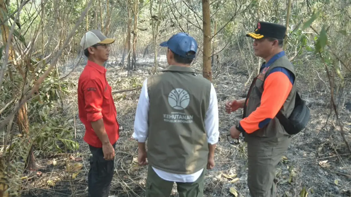 MASIH BERASAP: Menteri Kehutanan (Menhut) Raja Antoni meninjau langsung penanganan karhutla di Desa Penggalaman, Kabupaten Banjar.