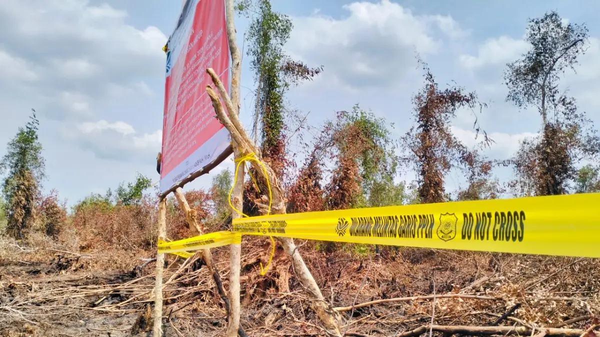 Petugas KLH/BPLH melakukan pengecekan di lahan yang terdampak kebakaran hutan dan lahan (karhutla) sebagai respon menghadapi musim kemarau 2026. (HUMAS KLH/BPLH)