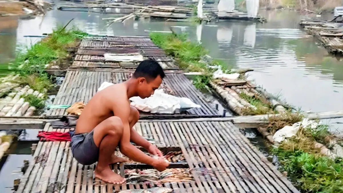 USAHA: Warga yang melakoni budi daya keramba air tawar di Kabupaten Hulu Sungai Utara.