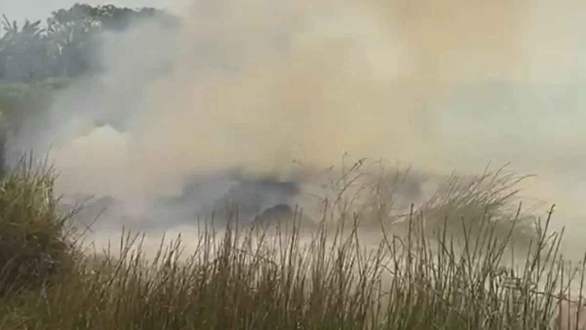 KARHUTLA: Petugas memadamkan kebakaran yang melanda kebun cabai Hiyung di Desa Sungai Rutas Hulu, Tapin. Belasan ribu batang cabai ikut terbakar. (Foto: Pusdalops BPBD Tapin)