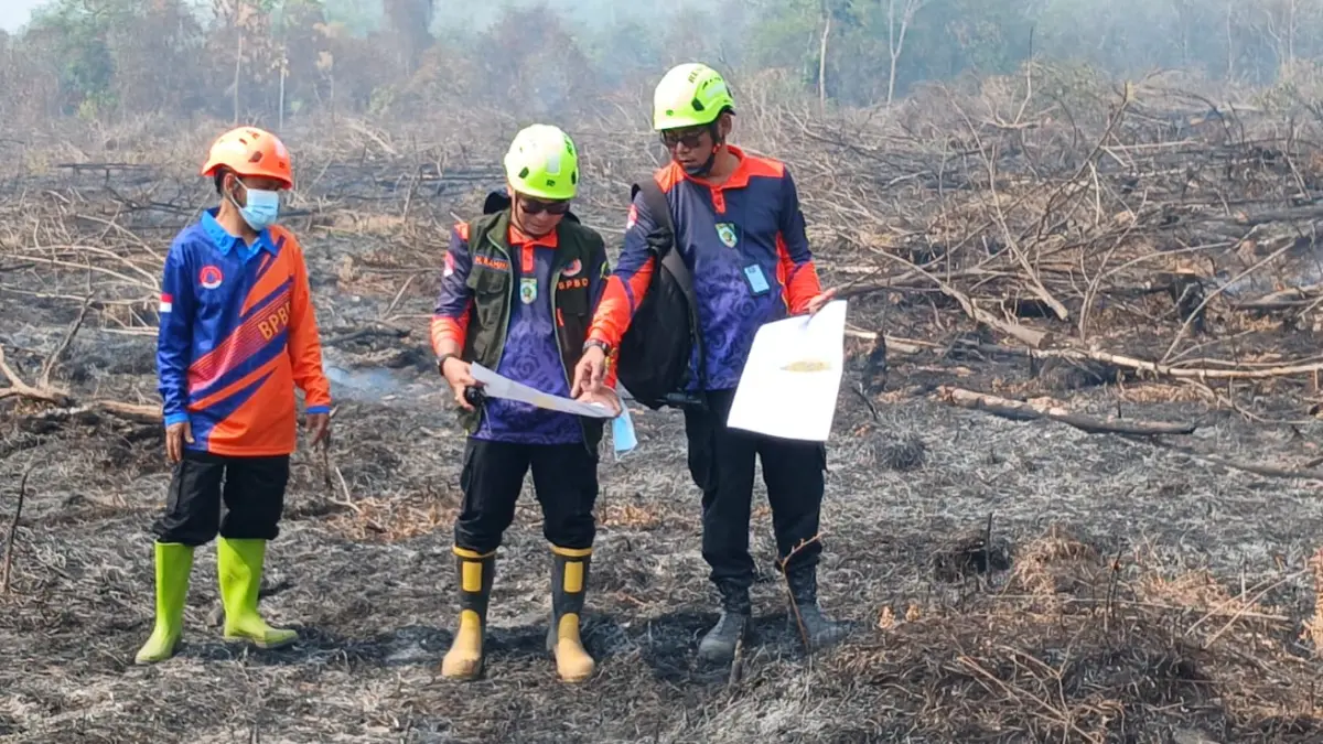 PATROLI PENDINGINAN: Petugas BPBD Kabupaten Balangan menyisir dan memadamkan sisa bara api di lahan bekas terbakar di Kabupaten Balangan. (Foto: Elhami untuk Radar Banjarmasin)