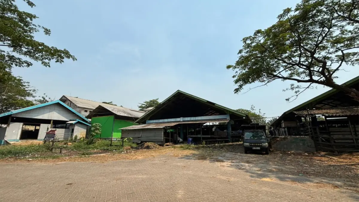 JADI PR: RPH Basirih di Banjarmasin Selatan. RPU yang berada di dalam kawasan tersebut diminta segera dibenahi agar dapat beroperasi optimal.