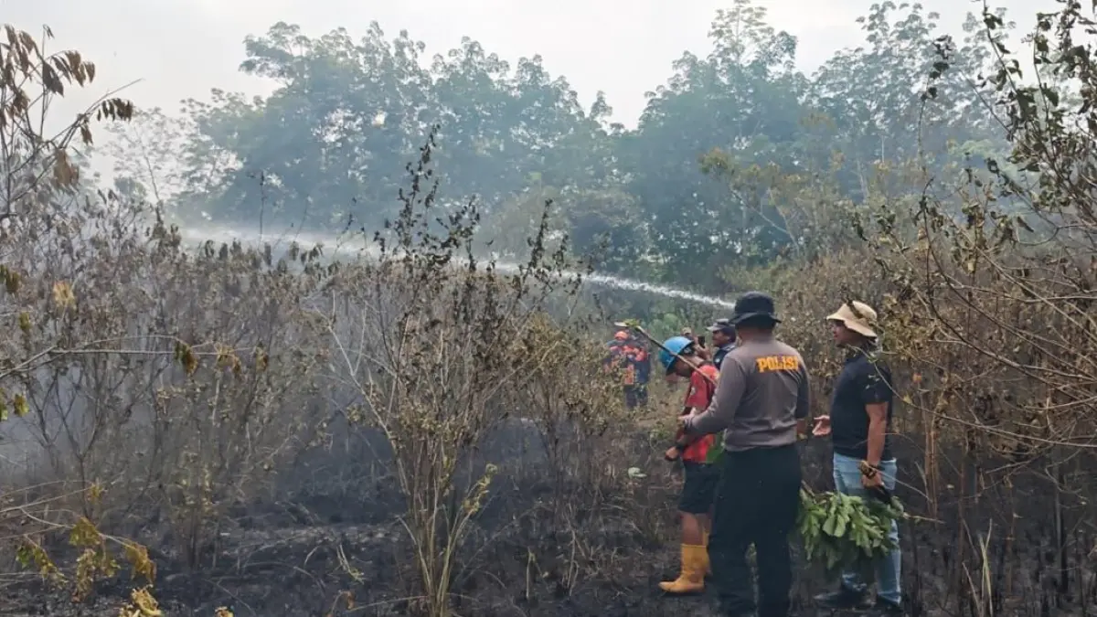 KENDALA PEMADAMAN: Hamparan lahan gambut yang hangus terbakar di wilayah Kabupaten Balangan. Ketiadaan sumber air dan akses yang sulit membuat tim gabungan baru mampu menangani 194 hektare dari total 680 hektare lahan yang terbakar. 