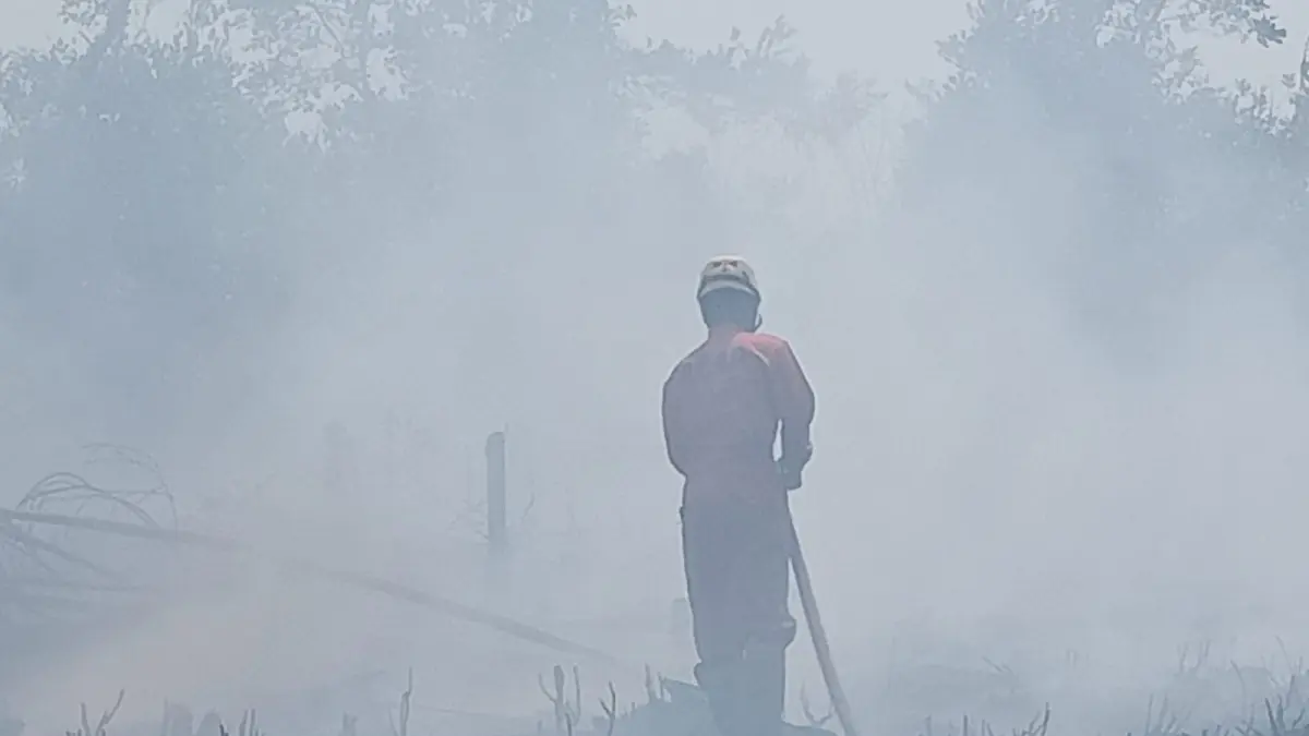 PADAMKAN API: Petugas BPBD Kabupaten Banjar melakukan penanganan kebakaran hutan dan lahan (karhutla) di Kecamatan Martapura. (Foto: FADLAN ZAKIRI/RADAR BANJARMASIN)