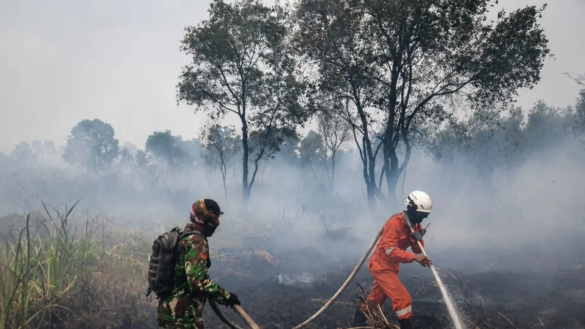 KARHUTLA: Petugas menangani kebakaran hutan dan lahan di kawasan Jalan Gubernur Syarkawi, Kecamatan Gambut, Kabupaten Banjar. (Foto: BPBD Banjar)
