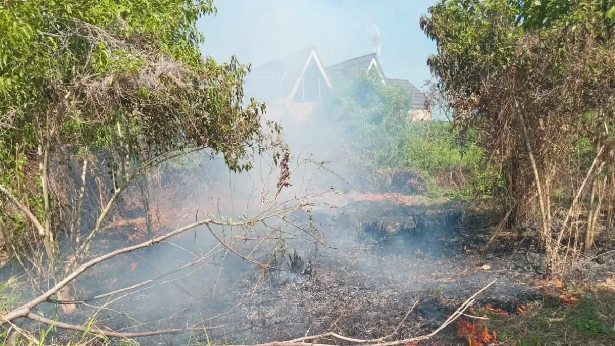 Kebakaran lahan di Banjarmasin. Menghadapi potensi kebakaran lahan di Banjarmasin, PMI mulai menyiapkan pasokan air dan logistik untuk mendukung penanganan di lapangan.(Foto: Dokumen Radar Banjarmasin)