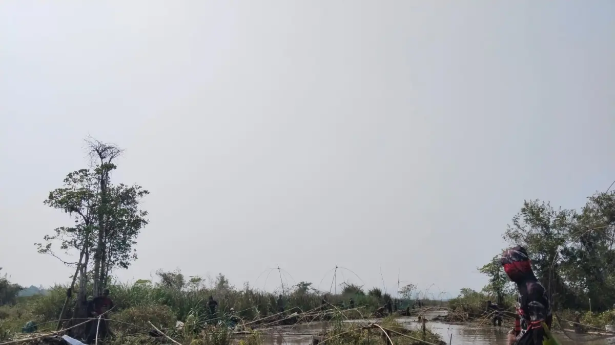 TRADISI MAHANCAU: Peserta saat mengikuti lomba menangkap ikan tradisional (mahancau) di Desa Kias (Desa Tapuk), Kecamatan Limpasu, Kabupaten Hulu Sungai Tengah, Senin (24/8/2026).
