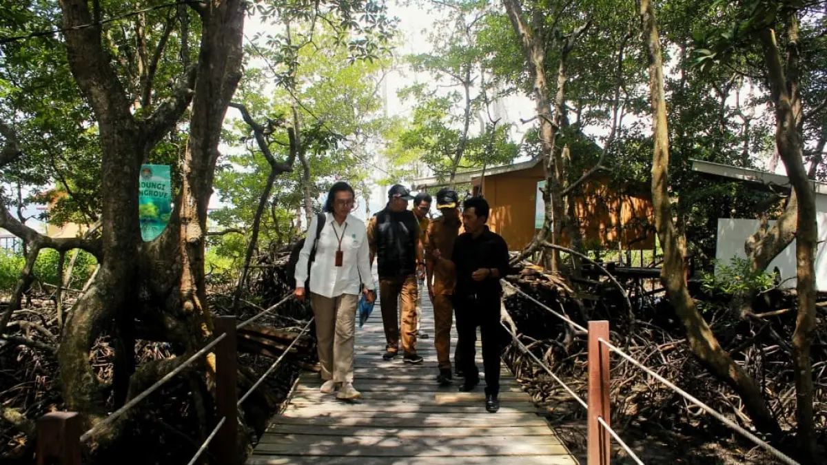 EKOWISATA: Kepala Balai Pengelolaan Ekosistem Gambut dan Mangrove Yunus Sudaryanti (putih) meninjau kawasan mangrove saat berkunjung ke Desa Kersik Putih, Tanah Bumbu.