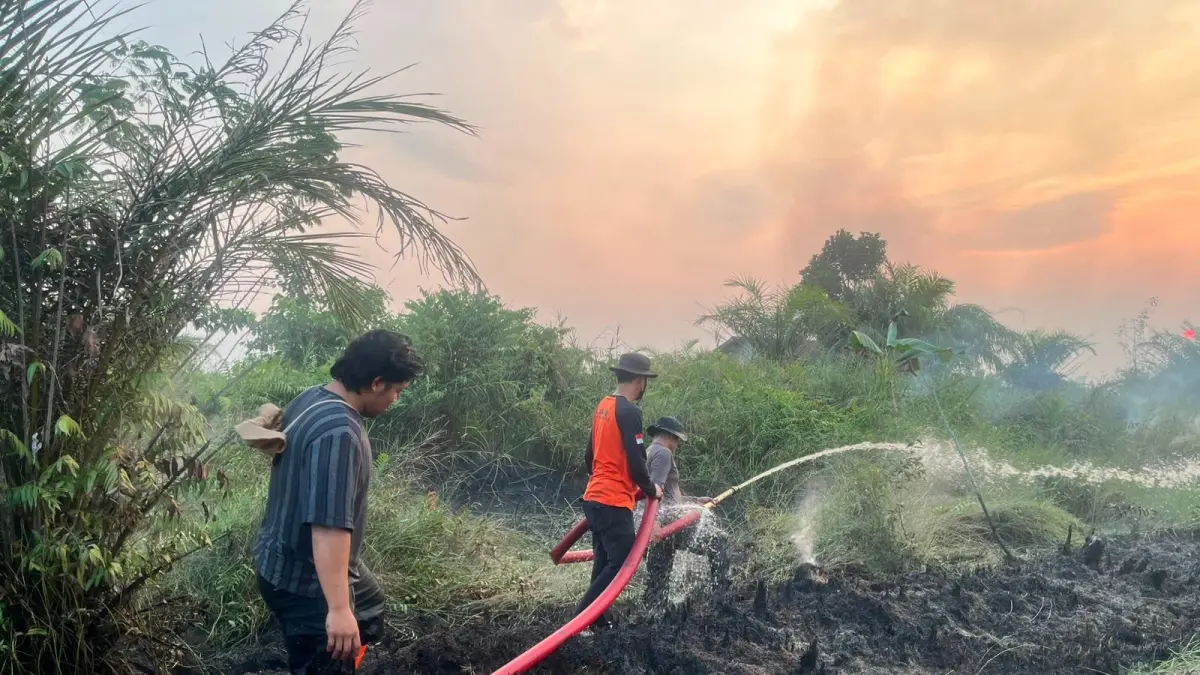 TITIK API: Hamparan lahan gambut yang hangus terbakar di wilayah Kabupaten Balangan.&nbsp; (El untuk Radar Banjarmasin)