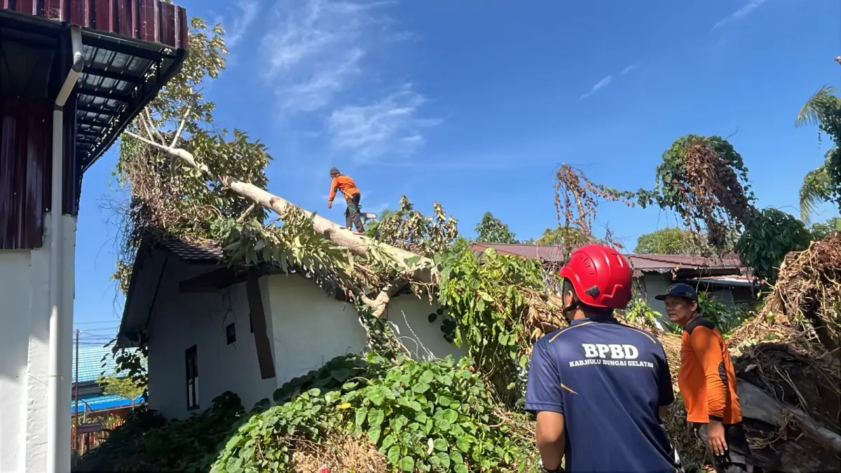 TANGANI: Petugas BPBD HSS menangani pohon tumbang yang mengenai bangunan kosong rumah dinas Pemkab HSS di Jalan Batuah, Tibung Raya. (Foto: BPBD HSS)