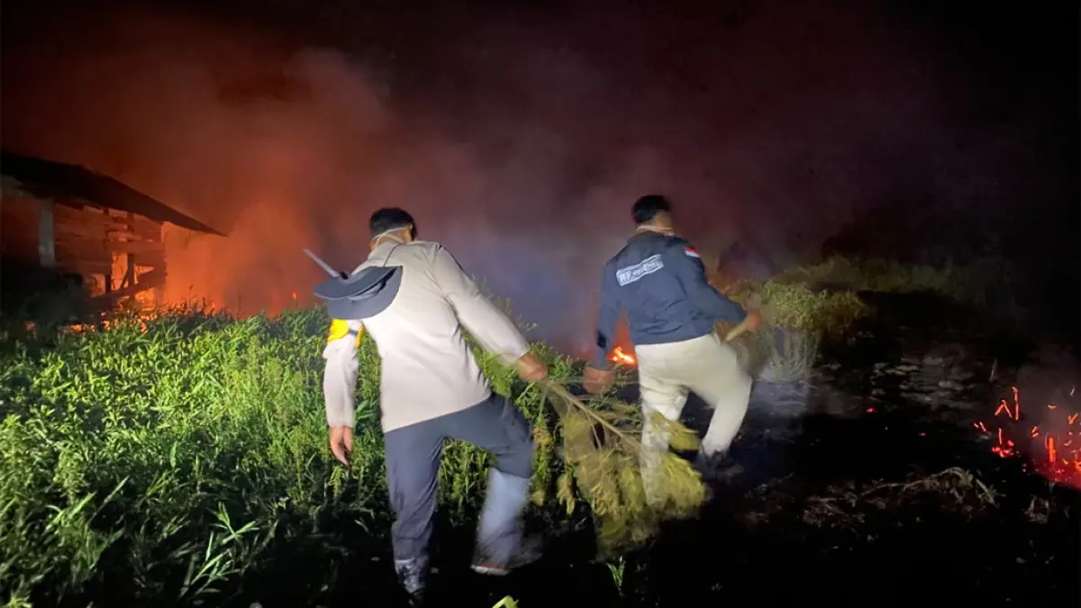 UPAYA: Petugas gabungan bersama masyarakat melakukan pemadaman dan pendinginan lahan yang terbakar di Desa Pinangkara, Kecamatan Amuntai Tengah, HSU, Minggu (13/9/2026) malam.