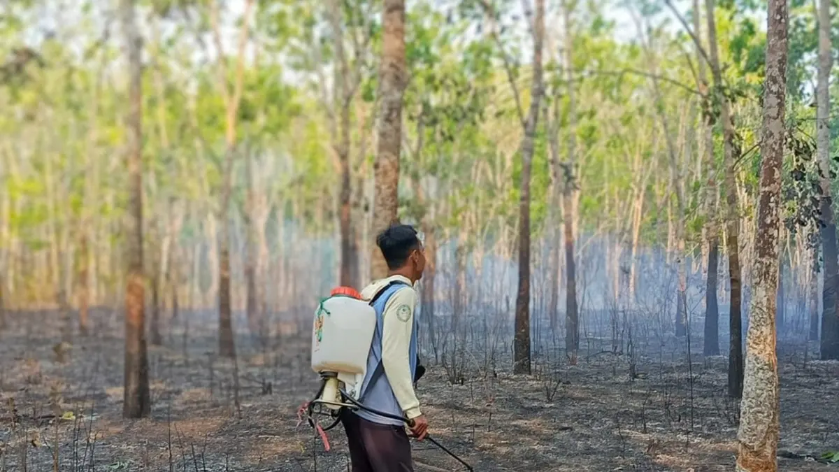 BERJIBAKU: Relawan RAKAT bersama warga memadamkan karhutla di kawasan perkebunan karet Desa Karang Intan, Selasa (15/9/2026). (Dok RAKAT)