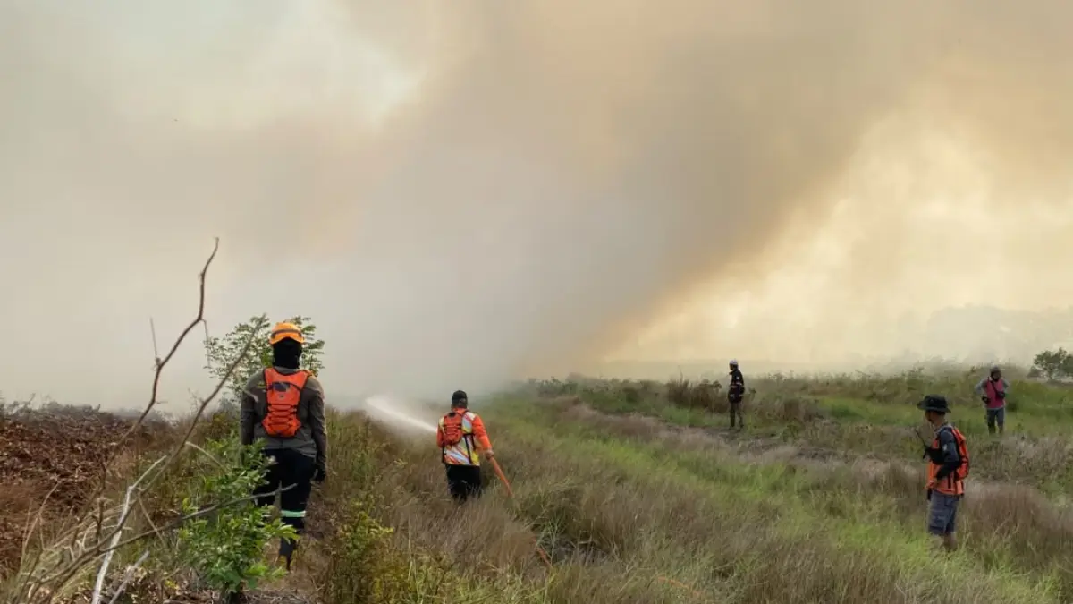 PADAMKAN: Anggota Pusdalops BPBD Tapin saat mencoba memadamkan api yang membakar kebun cabai dan kebun jeruk warga di Desa Hiyung.