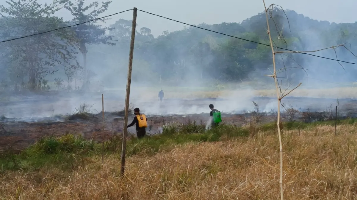 PADAMKAN API: Relawan RAKAT bersama warga dan BUSER 690 Banjar menangani karhutla di lahan gambut Desa Mandikapau Timur, Kecamatan Karang Intan. &nbsp;(Dok RAKAT untuk Radar Banjarmasin)