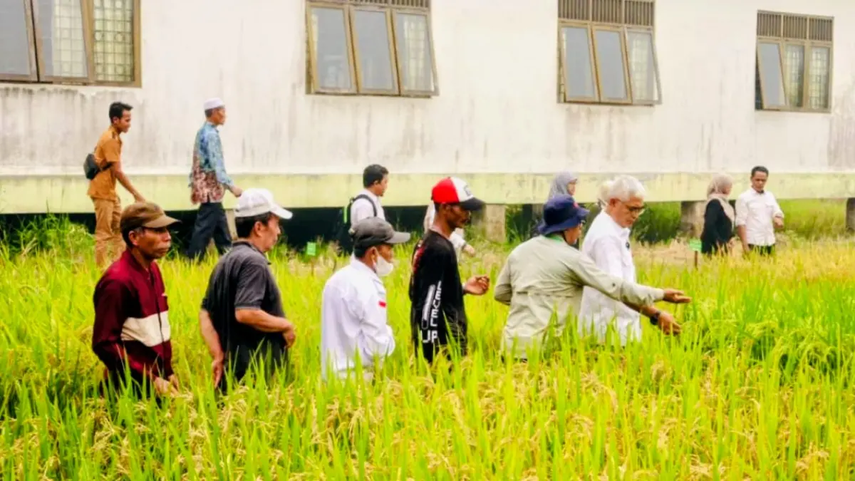 TINJAU PERTANIAN: Wakil Bupati HSU, Hero Setiawan meninjau tanaman percobaan sembilan varietas padi di BPP Sungai Pandan, Rabu (23/9/2026).(Foto:M Akbar/Radar Banjarmasin)