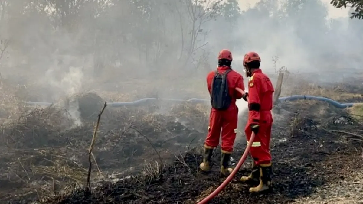 MENGEPUL: Kondisi area terdampak karhutla yang masih menunjukkan adanya kepulan asap.