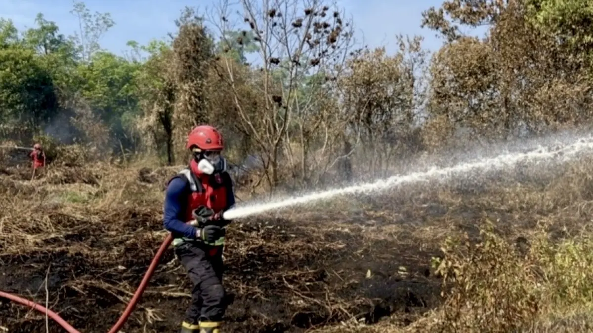 PEMADAMAN: Tim ERT Arutmin melakukan pemadaman api dalam penanganan kebakaran hutan dan lahan (karhutla) di Guntung Damar, Kota Banjarbaru.