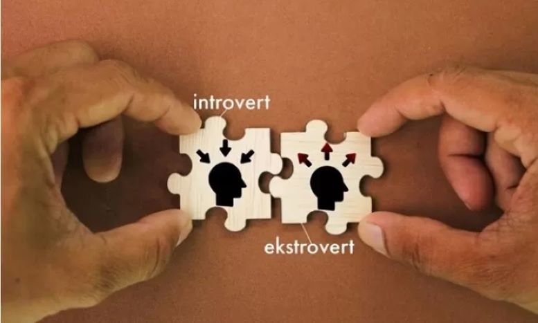 Ambivert, perpaduan antara ekstrovert dan introvert (freepik)