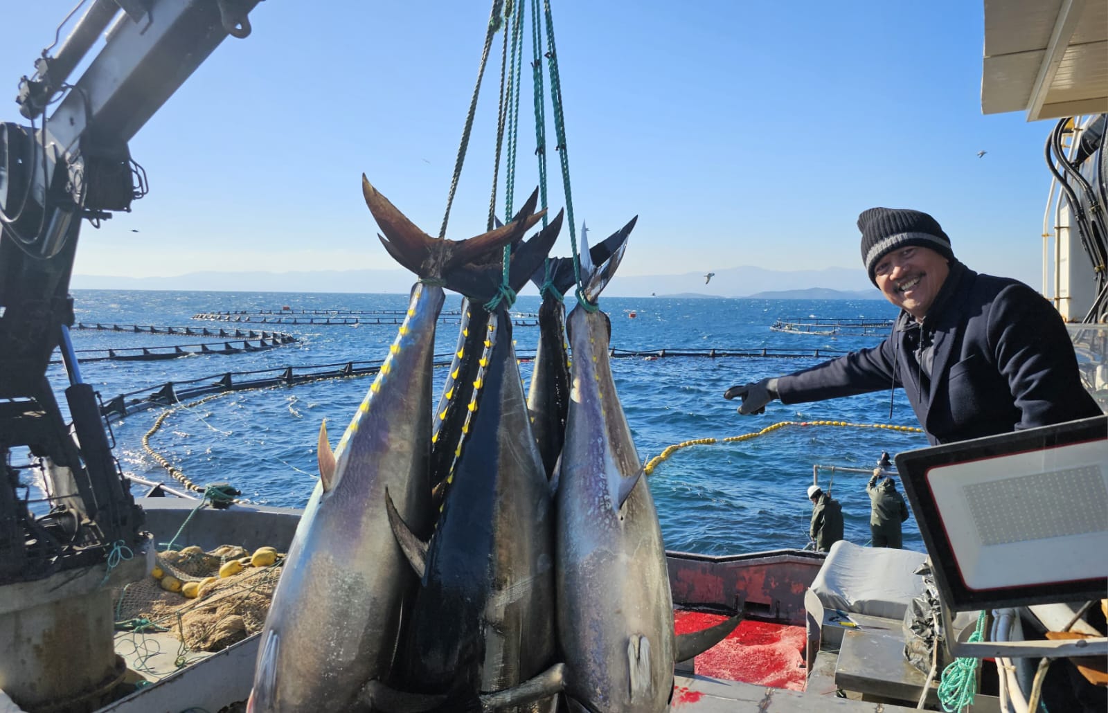 BERNILAI TINGGI: Sakti Wahyu Trenggono melihat ikan tuna yang dibudidayakan di Laut Izmir, Turki. Ikan ini akan diekspor ke Jepang.