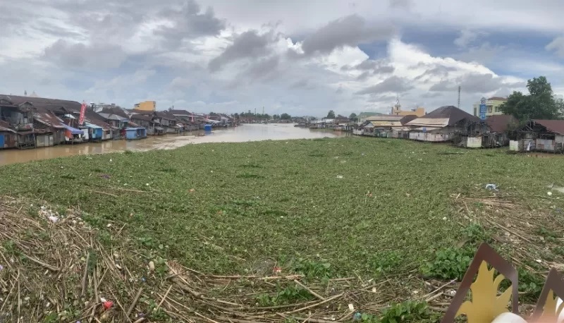 GULMA DAN SAMPAH: Pampangan memenuhi badan Sungai Martapura, dipotret dari atas Jembatan Pasar Lama, Ahad (4/2). (FOTO: &nbsp;ENDANG SYARIFUDDIN/RADAR BANJARMASIN)