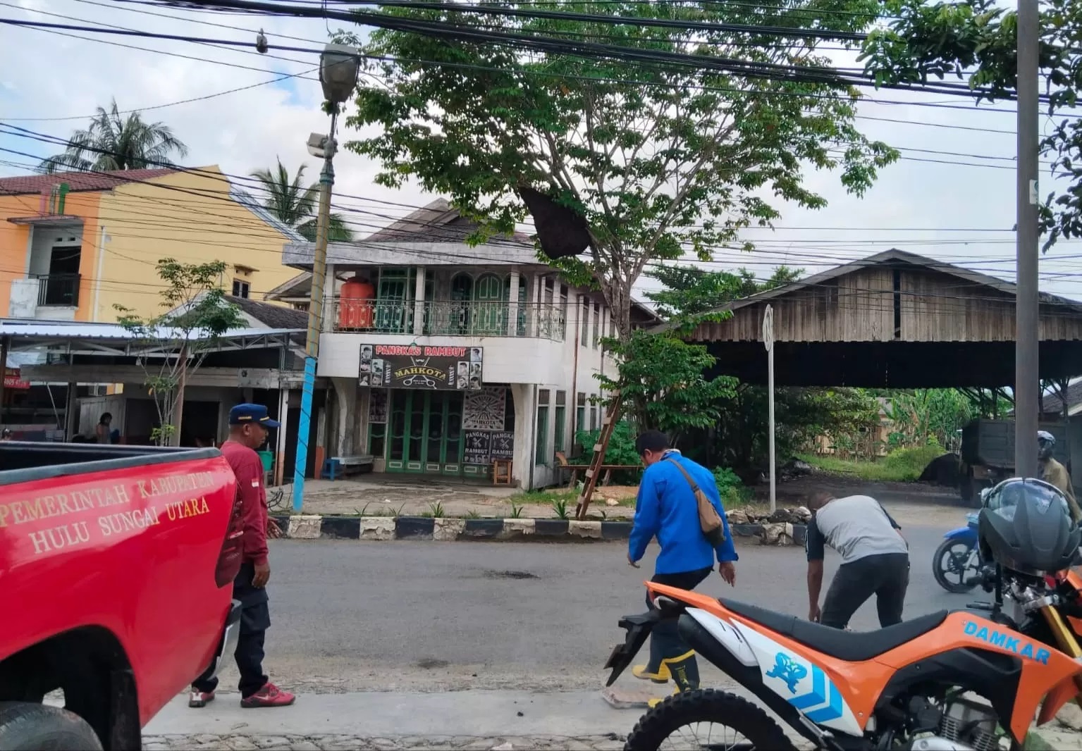 TINDAKAN: Proses evakuasi kawanan lebah madu di Jalan Norman Umar, Kota Amuntai, Jumat (9/2/2024) sore.(Foto: M Akbar/Radar Banjarmasin)