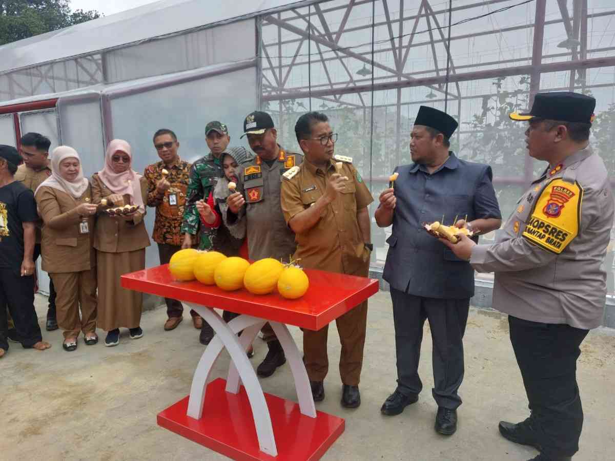 Pj Gubernur Kaltim Akmal Malik bersama Bupati Kukar Edi Damansyah dan jajaran saat menyicip melon varietas golden KI hasil budidaya petani Tenggarong (Elmo/Prokal.co)