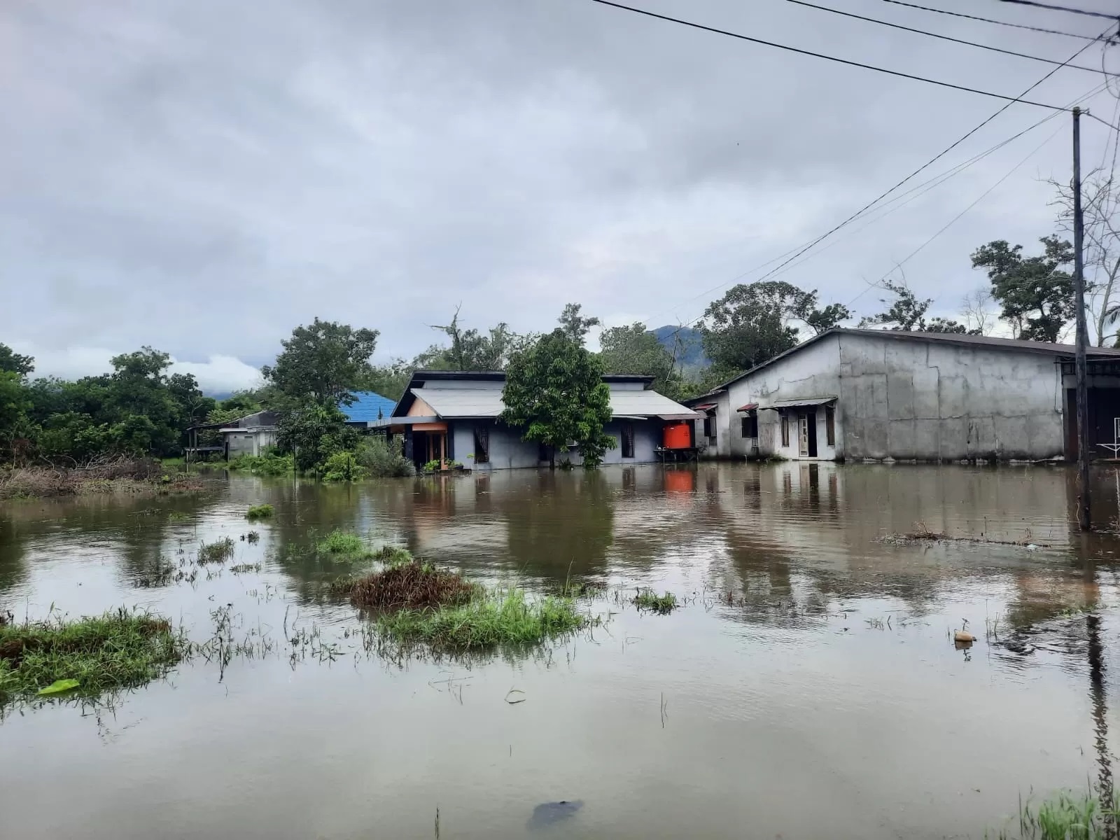 BANJIR : Lahan pertanian warga tergenang air di Desa Pangkalan Buton, Kecamatan Sukadana. (ISTIMEWA)