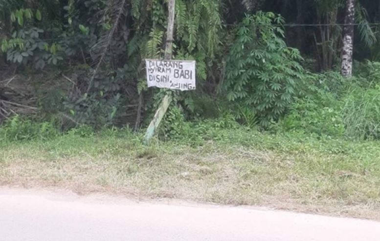 Tulisan larangan menyiram ternak babi di aliran air di Desa Runtu, Kecamatan Kumai, Kabupaten Kotawaringin Barat, belum lama ini. (Istimewa)